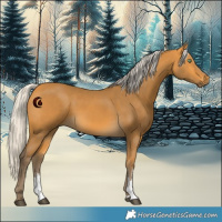 Horse Color:Silver Buckskin Sabino Rabicano 