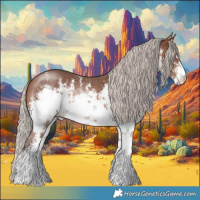 Horse Color:White Spotted Silver Bay Sabino Rabicano 