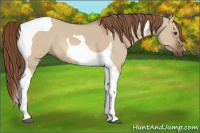 Horse Color:Red Dun Tobiano 