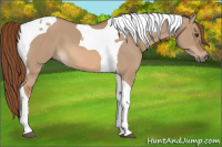 Horse Color:Red Dun Tobiano 