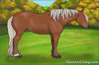 Horse Color:Silver Bay Sabino Rabicano 