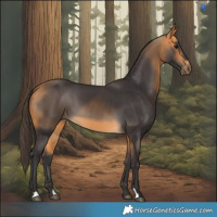 Horse Color:Buckskin 