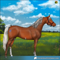 Horse Color:Silver Bay Sabino Rabicano 
