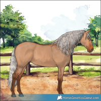 Horse Color:Silver Bay Dun Sabino Rabicano 