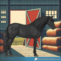 Horse Color:Black 