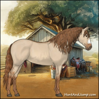 Horse Color:Red Dun 