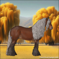 Horse Color:Silver Brown Sabino Rabicano 