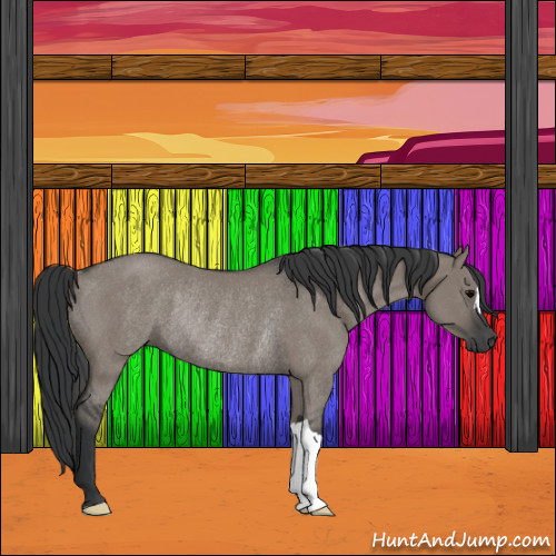 Horse Color:Grullo Rabicano 