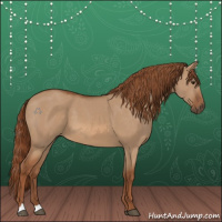 Horse Color:Red Dun 