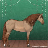 Horse Color:Red Dun 