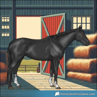 Horse Color:Black Sabino Rabicano 