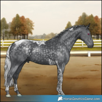 Horse Color:Silver Black Chinchilla Tobiano Rabicano