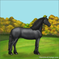 Horse Color:Black 