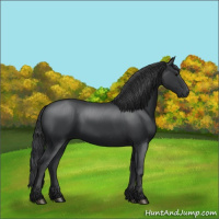 Horse Color:Black 