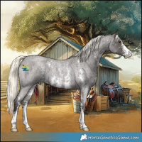 Horse Color:Liver Red Roan Mushroom Sabino 