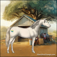 Horse Color:Perlino 