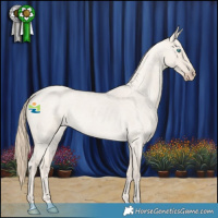 Horse Color:Smoky Creme Roan Dun 