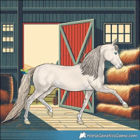 Horse Color:Perlino 