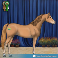 Horse Color:Chestnut Sabino 