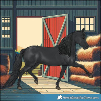 Horse Color:Black 