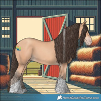 Horse Color:Amber Champagne Tobiano 