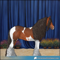 Horse Color:Bay Tobiano 