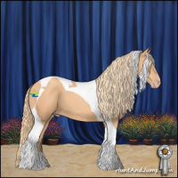 Horse Color:Gold Champagne Tobiano 