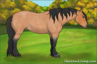 Horse Color:Bay Roan 