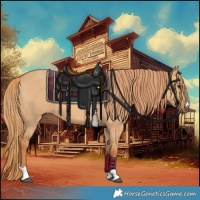 Horse Color:Red Dun 