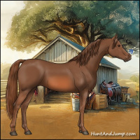 Horse Color:Chestnut 