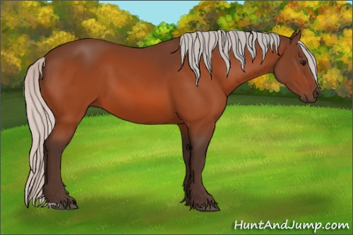 Horse Color:Silver Bay 
