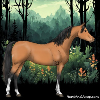Horse Color:Bay Tobiano 