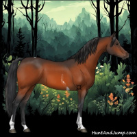 Horse Color:Bay Tobiano 