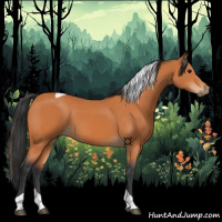 Horse Color:Bay Tobiano 