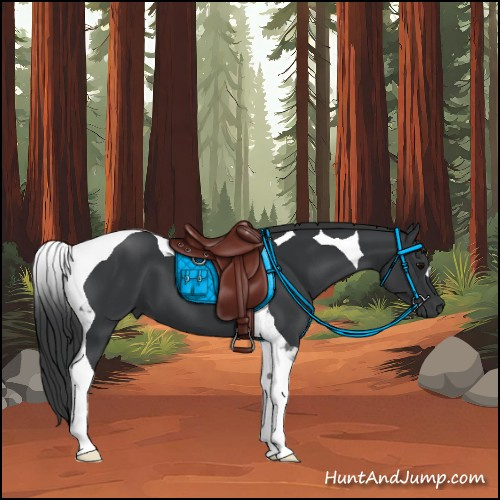 Horse Color:Black Tobiano 