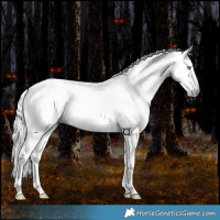 Horse Color:Gray Silver Amber Cream Champagne Roan Dun Splash Tobiano Frame Appaloosa Rabicano 