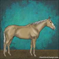 Horse Color:Silver Smoky Black 