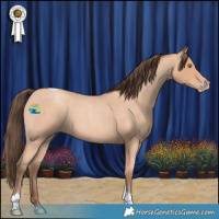 Horse Color:Amber Champagne Roan Tobiano 