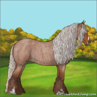 Horse Color:Silver Bay Roan Sabino Rabicano 
