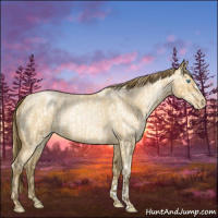 Horse Color:Buckskin Roan Pearl  and Gray Buckskin Roan Pearl 