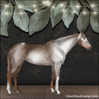 Horse Color:Gray Chestnut Tobiano