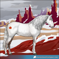 Horse Color:Gray Silver Black Pearl Tobiano 
