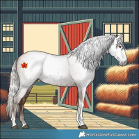 Horse Color:Gray Silver Black Pearl Tobiano 