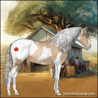 Horse Color:Chocolate Palomino Pearl Tobiano Frame  and Chocolate Palomino Pearl Tobiano Frame 