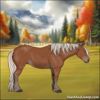 Horse Color:Silver Bay Sabino Rabicano 