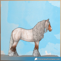 Horse Color:Silver Bay Roan Sabino Rabicano 
