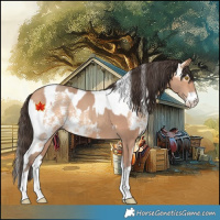 Horse Color:Amber Champagne Sabino Tobiano  and Amber Champagne Sabino Tobiano 