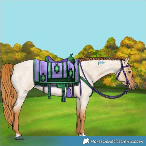 Horse Color:Red Dun Roan