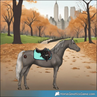 Horse Color:Silver Black 