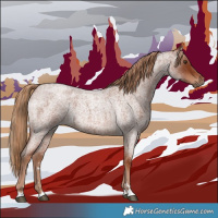 Horse Color:Red Roan 